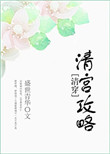 清宫攻略(清穿)
