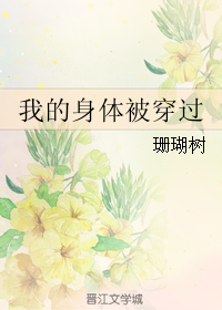 我的身体被穿过txt电子书下载