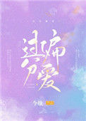 过分偏爱txt电子书下载
