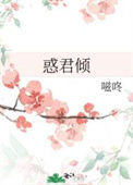 惑君倾txt电子书下载