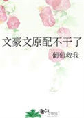 文豪文原配不干了txt电子书下载