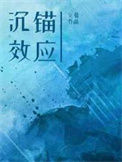 沉锚效应txt电子书下载