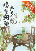 鸡飞狗跳大杂院txt电子书下载
