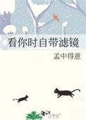 看你时自带滤镜txt电子书下载