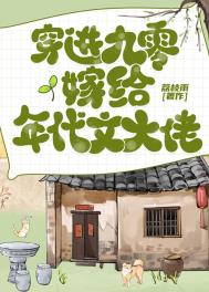 穿进九零嫁给年代文大佬txt电子书下载