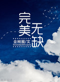 《完美无缺》