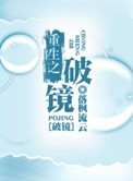 《重生之破镜》