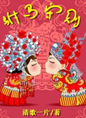 《驸马守则》