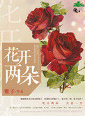 《花开两朵》