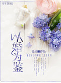 《以婚为鉴》
