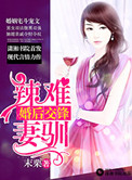 《婚后交锋之辣妻难驯》