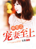 《溺爱之宠妻至上》小说