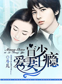 《盲少爱妻上瘾》小说