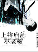 《上将府的小老板》