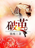 《破茧》小说