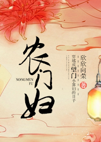 《农门妇》小说