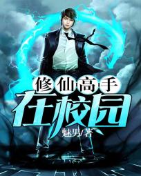 《修仙高手在校园》