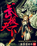 《武极天下》小说