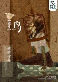 《重生之鸟》
