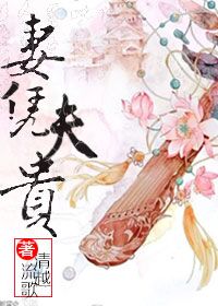 《妻凭夫贵》小说