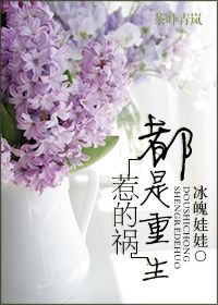 《都是重生惹的祸》小说