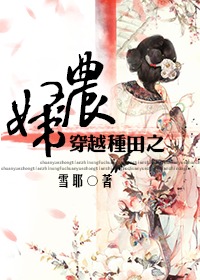 《穿越种田之农妇》小说