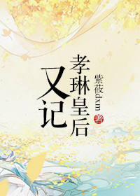 《孝琳皇后又记》小说