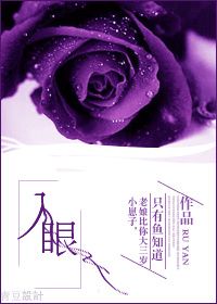 《入眼》小说