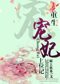《重生宠妃上位记》小说
