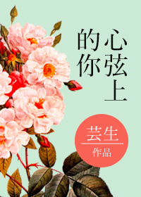 《心弦上的你》小说