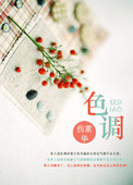 《色调》