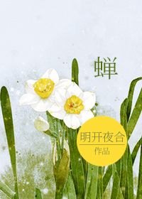 《蝉》小说