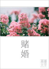 《赌婚》小说