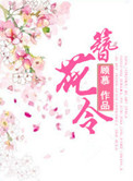 《簪花令》小说