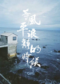 《等风平浪静的时候》