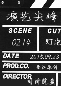 《演艺尖峰》小说