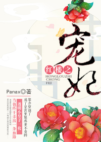 《红楼之宠妃》