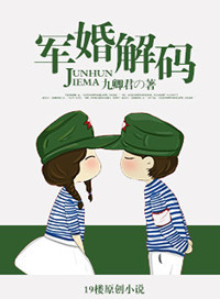 《军婚解码》小说