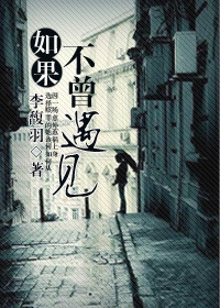 《如果不曾遇见》小说