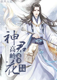 《神君是朵高岭花》