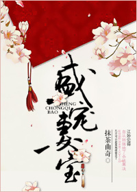 《盛宠妻宝》