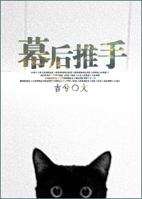 《幕后推手(娱乐圈)》小说