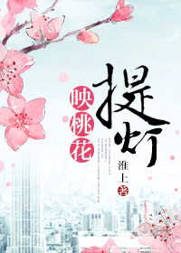 《提灯映桃花》小说