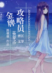 《金牌攻略员》