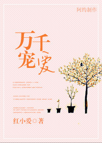 《万千宠爱（虐男主）》