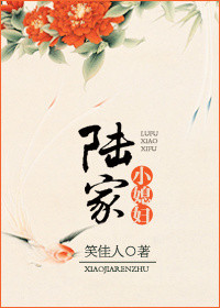 《陆家小媳妇》小说