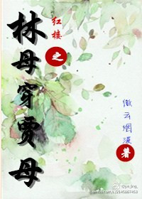 《红楼之林母穿贾母》