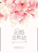 《此婚是我结》
