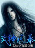 《武神风暴》