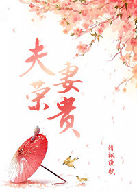《夫荣妻贵》
